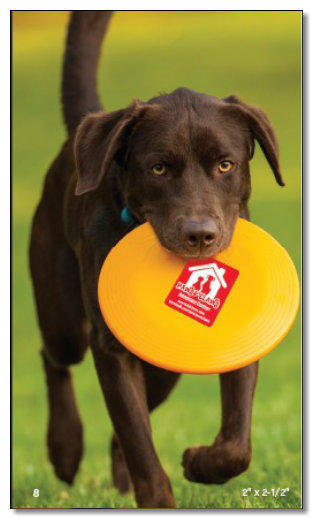 Dog holding frisbee with labels